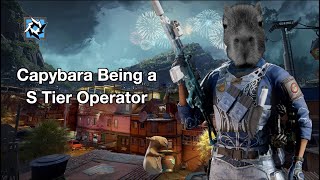 Brava Trolling and Being a S Tier Operator [upl. by Ahsemot]