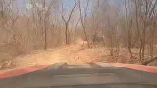 2 Acelerando os UTVs na Serra da Capivara [upl. by Krm705]