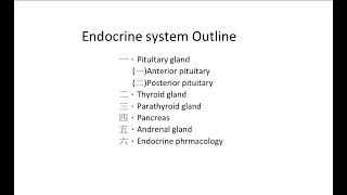 NCLEXRN 內外科 Chapter 4 Lesson 44 Pancreas pharmacology Insulin 胰島素 [upl. by Husch]