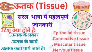 ऊतक  Tissue  Type of tissue  science  biology  tissue in hindi  Epithelial tissue function [upl. by Cavallaro]