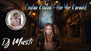 Her Yer Karanlık roman havası ritim 2021 CEYLAN KOYNAT FEAT DJ MUSTİ [upl. by Mahseh993]