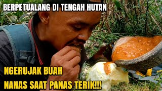 NGERUJAK BUAH NANAS DI TENGAH HUTAN SAMBIL BERPETUALANG [upl. by Novad]