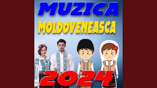 Muzica Moldoveneasca 2024 [upl. by Euqirat]