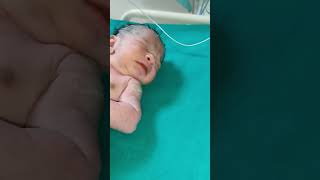 New born first cry newborn baby cute youtubeshorts shorts shortsvideo viralshorts viralvideo [upl. by Percival]