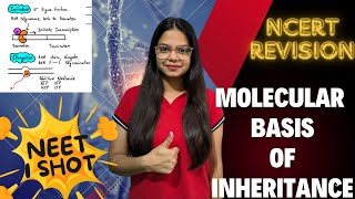 MOLECULAR BASIS of INHERITANCE Class 12 ONE SHOT  NEET 2025  NCERT FULL THEORY [upl. by Phina]