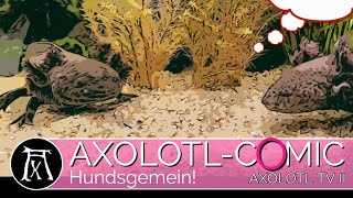 Axolotl Comic Hundsgemein [upl. by Nnayrb730]