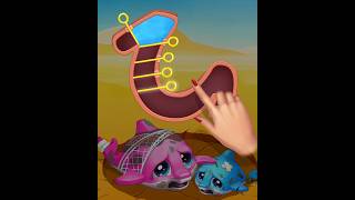 Island Hoppers  Ad 195 mobilegameads bestads cringeads funnyads horsecommercial theyneedwater [upl. by Legge]