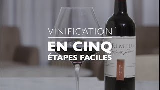 La vinification artisanale en 5 étapes faciles [upl. by Jepum]