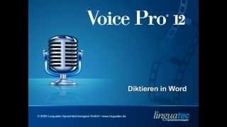 Voice Pro 12 Spracherkennung Druckreifes Diktieren in Word [upl. by Kifar]