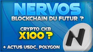 💎 Nervos Network crypto CKB  prédiction prix et son écosystème  français 💎 [upl. by Timmi]