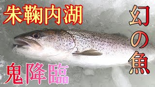 【ワカサギ釣り】朱鞠内湖で幻の巨大魚イトウを釣る！ [upl. by Bohon666]