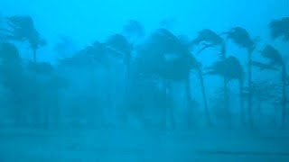 12 Hours inside a Category 5 HurricaneRain amp Thunder Sounds for SleepLock the Door amp Go SleepASMR [upl. by Devi386]