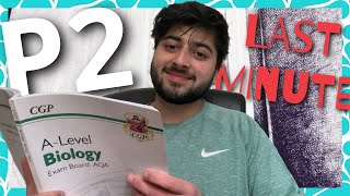 A LEVEL Biology Paper 2 Last Minute Tips  ALevels 2024 [upl. by Enala]