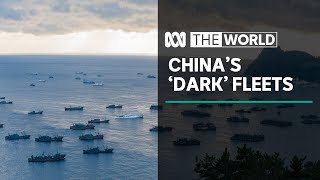 How Chinas dark fleets are plundering the worlds oceans [upl. by Enamrej]