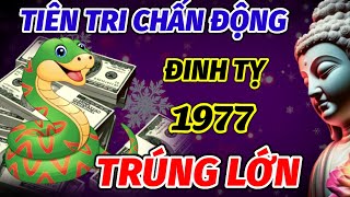 CHẤN ĐỘNG SỰ THẬT TUỔI ĐINH TỴ 1977 TRỜI THƯƠNG PHẬT ĐỘ ĐÚNG TRONG 60 NGÀY CUỐI NĂM TRÚNG SỐ GIÀU [upl. by Nage]