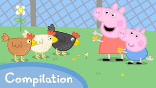 Pretty Polly The Parrot 🦜  Peppa Pig Official Full Episodes [upl. by Lund200]