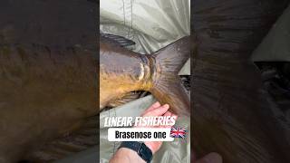 Amazing trip from Ireland to Linear Fisheries Brasenose one Uk 🇬🇧 Full movie 👇linearfisheries [upl. by Sugirdor]