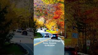 Stowe is a fourseason destination for fall vermont autumn fall stowe viralvideo shorts edit [upl. by Arraes]