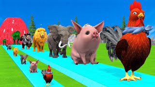 Paint amp Animals CowGorillaElephantGiraffeTigerLion Fountain Crossing Transformation Cartoon [upl. by Kizzie]