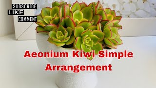 SIMPLE ARRANGEMENT OF AEONIUM KIWICARE TIPS succulents caretips [upl. by Ynohtnaleahcim]