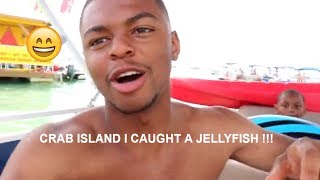 Crab Island and Jellyfish VLOG😁 [upl. by Leasa]