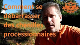 chenillesprocessionnaires coconschenilles Comment se débarrasser des chenilles processionnaires [upl. by Buzzell94]