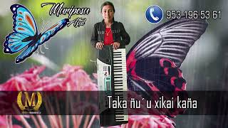 MARIPOSA AZUL quotTaka ñu´u xikai kañaquot LO MAS NUEVO MUSICA MIXTECA [upl. by Aihsotan]