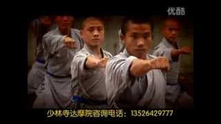 Shaolin Si Damo Yuan少林寺达摩院 [upl. by Kelley]