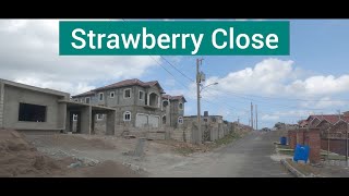 Strawberry Close The Hills Of Boscobel St Mary Jamaica [upl. by Naujahs]