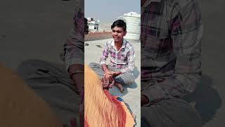 Artan bartan tel wale baba😃😃comedy hellfun shortvideo funnyshorts round2hell Hellhaven001 [upl. by Nanek111]