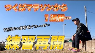 261 次の目標 サブ375  サブリノ に向けてRun再開！ そういえば次の大会についてちょこっとご報告 [upl. by Riess]