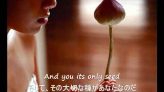 The Rose  Bette Midler 歌詞字幕）English amp Japanese Lyrics [upl. by Bremble]