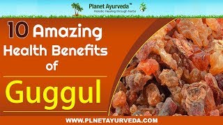 10 Amazing Health Benefits of Guggul Commiphora Mukul [upl. by Ackerman979]