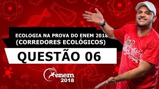 ECOLOGIA NA PROVA DO ENEM 2018 CORREDORES ECOLÓGICOS – QUESTÃO 06 – LISTA 24 [upl. by Essiralc]