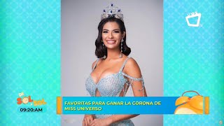 ¿Quién ganará Miss Universo 2023  Misólogo venezolano [upl. by Ilatan]