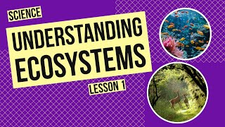 Understanding Ecosystems A Network of Life [upl. by Roper]