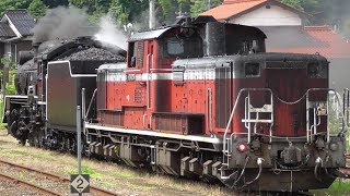 DD51『僕達のことも忘れないで』 D51 と初コンビの日 山口線 津和野駅 [upl. by Yttap812]