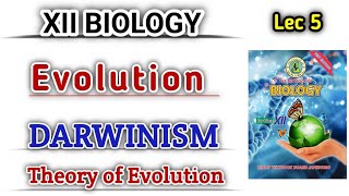 DARWINISM lec 5  Theory of Evolution by natural selection class 12 [upl. by Yearwood]