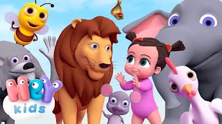 Les animaux pour bébé  son des animaux  HeyKids  Chansons pour enfants [upl. by Kitty]