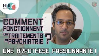 Comment fonctionnent les traitements en psychiatrie  Une hypothèse passionnante [upl. by Artcele312]