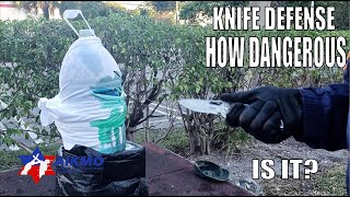 Knife Defense How Dangerous is it [upl. by Stenger245]