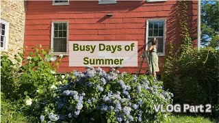 Vlog of Summer  Part 2 [upl. by Annayek]