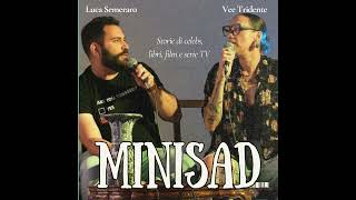 Minisad 17 [upl. by Neirad]