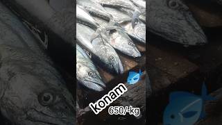 Konam 650kg call 7036969207 funny trending trending foryou foryourpage viralvideo [upl. by Gonta]