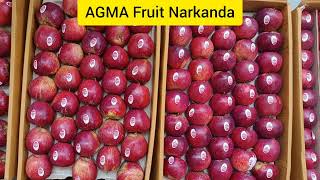 AGMA Fruit Narkanda में आज सेब के दाम  Todays Apple Market Update  Himalayan farming Live Update [upl. by Laetitia]