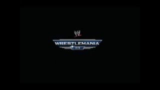 WrestleMania 23 theme song [upl. by Yrrag]