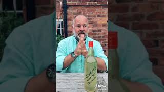 Homemade Limoncello Taste Test [upl. by Machute]