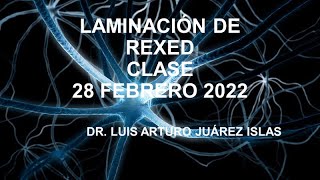 FASCÍCULOS MEDULARES Y LAMINACIÓN DE REXED CLASE 28 FEB 2022 [upl. by Rimidalv]