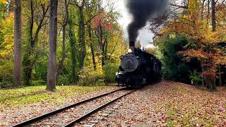 Wilmington amp Western at Wooddale Delaware Live Steam [upl. by Borreri]