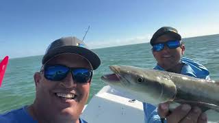 Inshore Fishing Biscayne Bay [upl. by Acinehs]